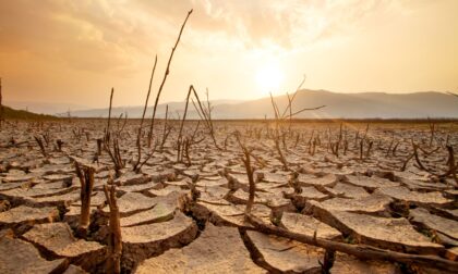 El Nino Godzilla Ancam Makassar, 6 Kecamatan Berpotensi Dilanda Kekeringan