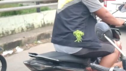 Foto: Driver ojol dibusur saat berkendara di Jembatan Puri Taman Sari, Makassar. (dok. istimewa)