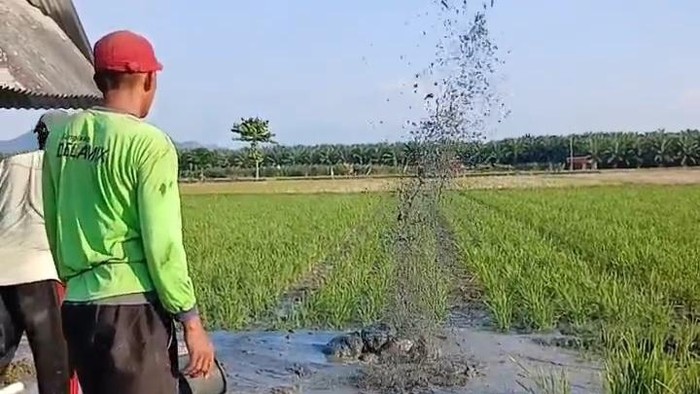 Semburan Air Bercampur Lumpur Muncul Saat Bor Sumur di Mamuju Tengah