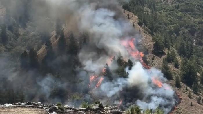 Gunung Nona Kembali Terbakar, BPBD Terkendala Alat dan Akses